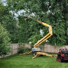 Best Seasonal Cleanup (Spring/Fall)  in Labasas, CA